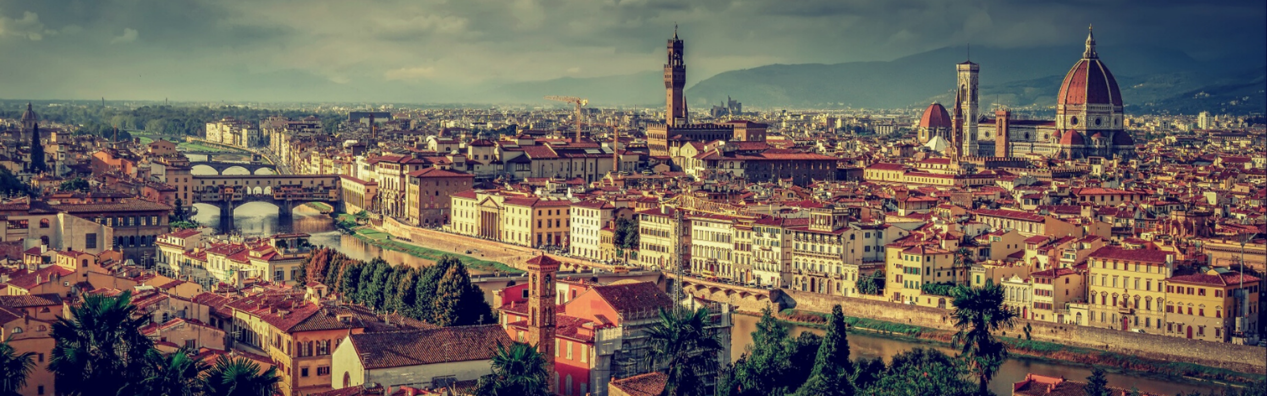 Urban safari: Lions, Giraffes, Monkeys and a Hippo in Renaissance Florence