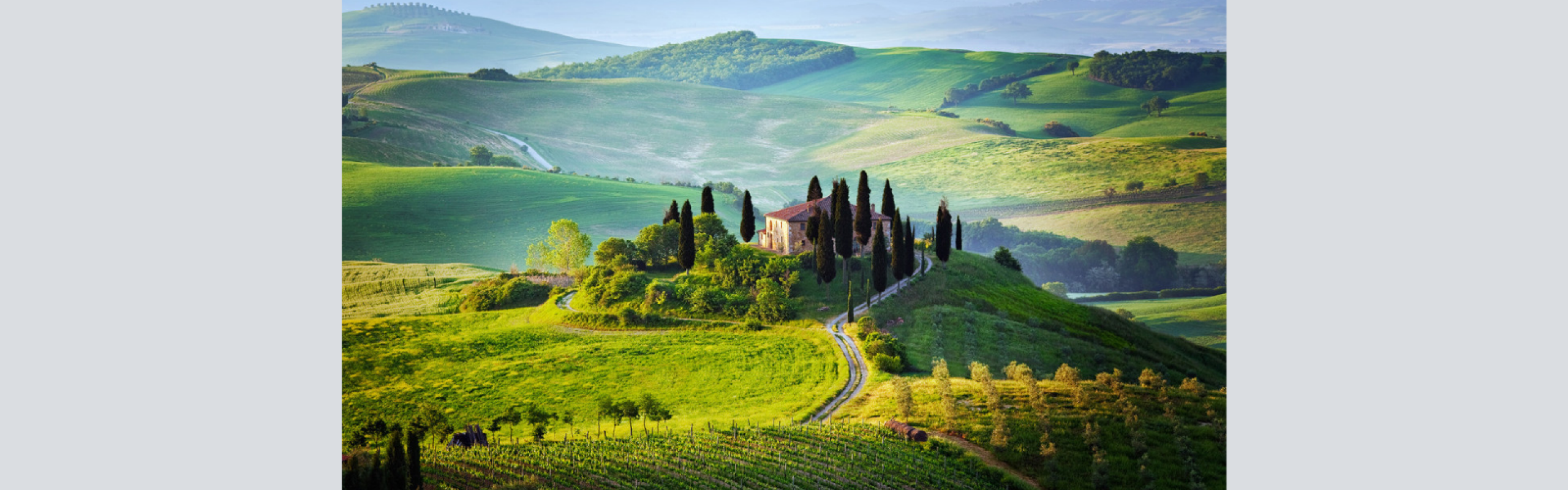 A Taste of Modernity - The Tuscan Wine Revolution