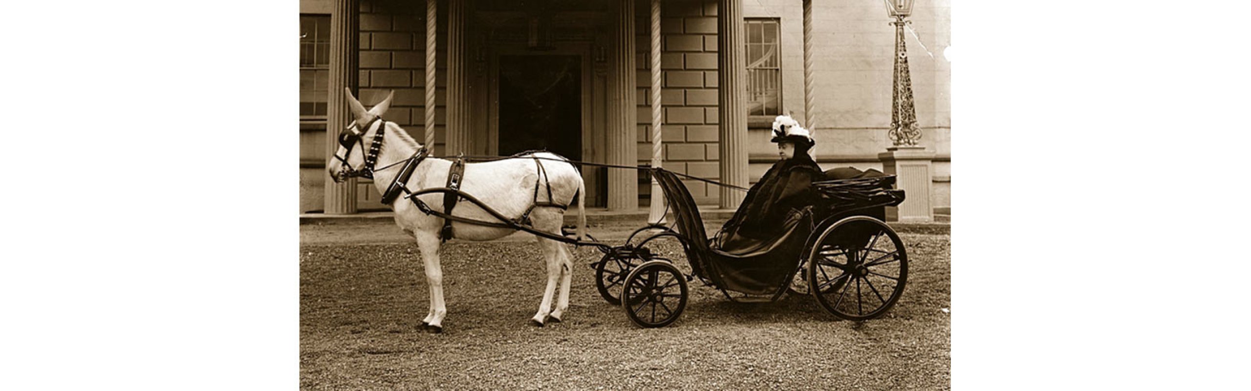 A  Royal Tourist in Florence